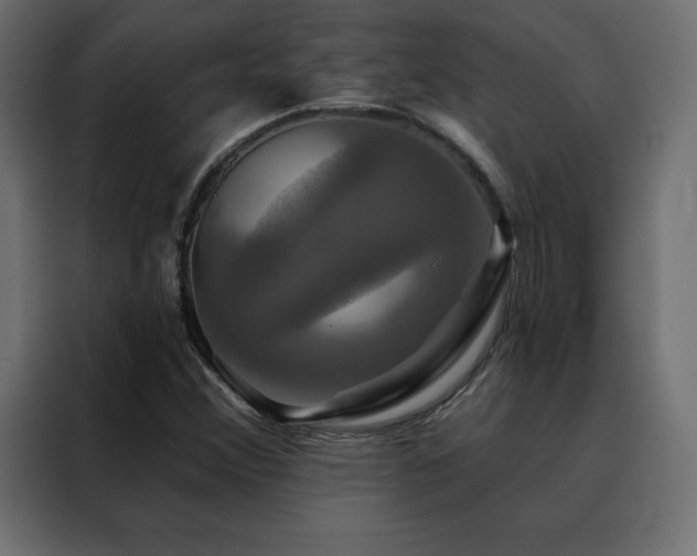 X0000088471356200705221354