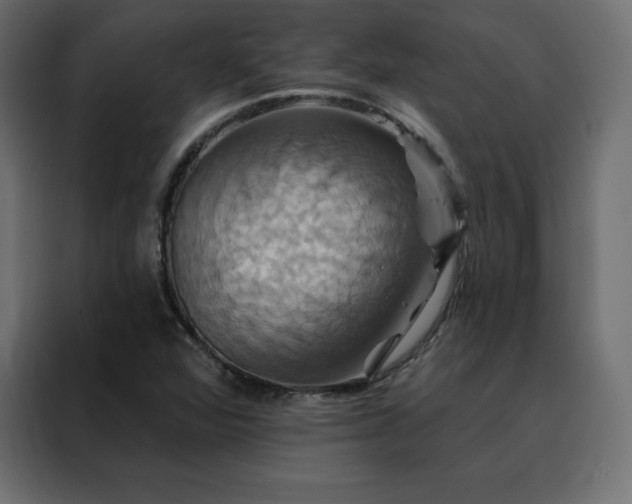 X0000088471360200705221354