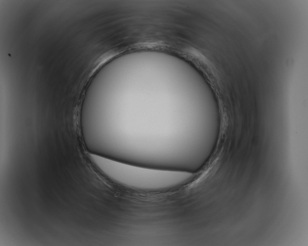 X0000088471361200705221354