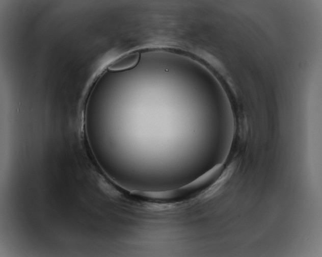 X0000088471366200705221354