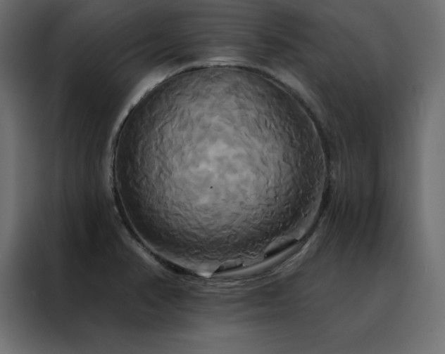 X0000088471374200705221354