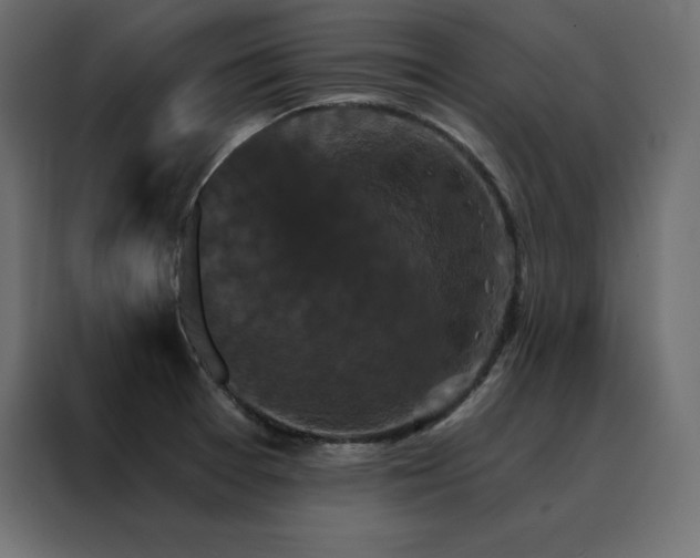 X0000088471377200705221354