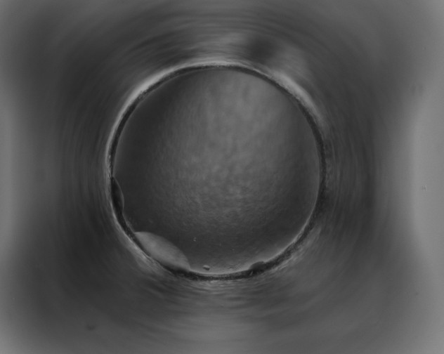 X0000088471380200705221354