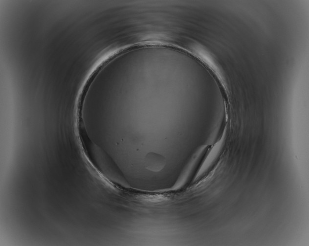 X0000088471384200705221354