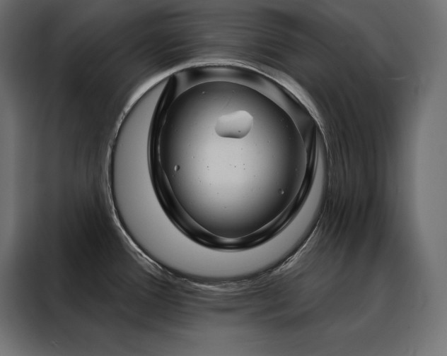X0000088471388200705221354
