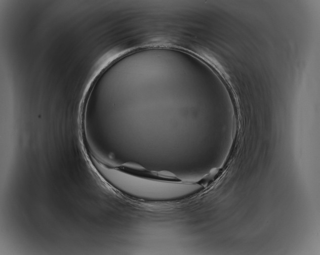 X0000088471392200705221354