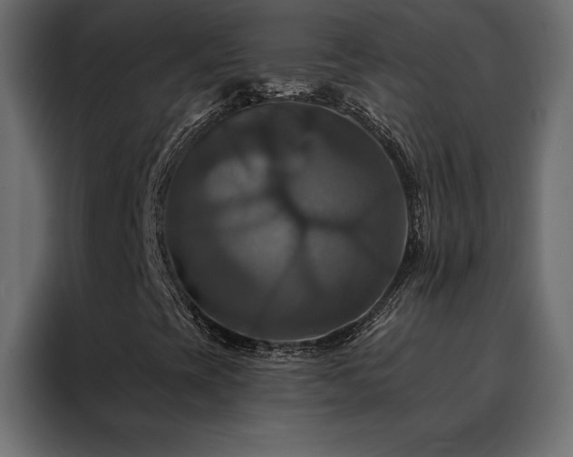 X0000088471393200705221353