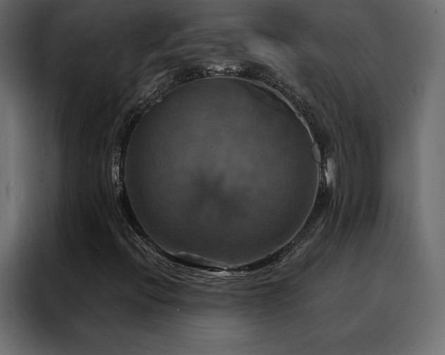 X0000088471396200705221353