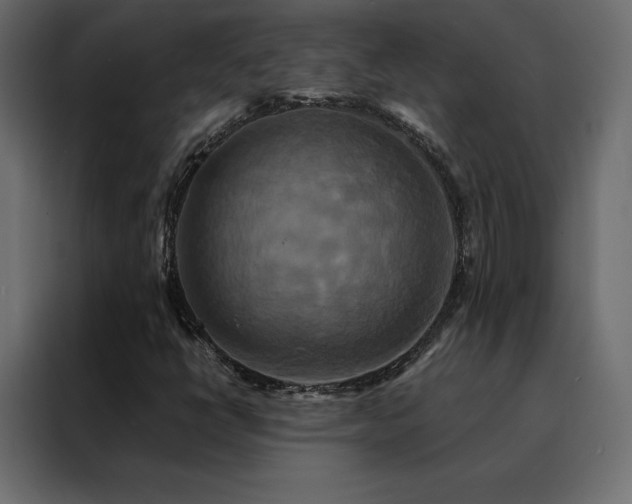 X0000088471398200705221353