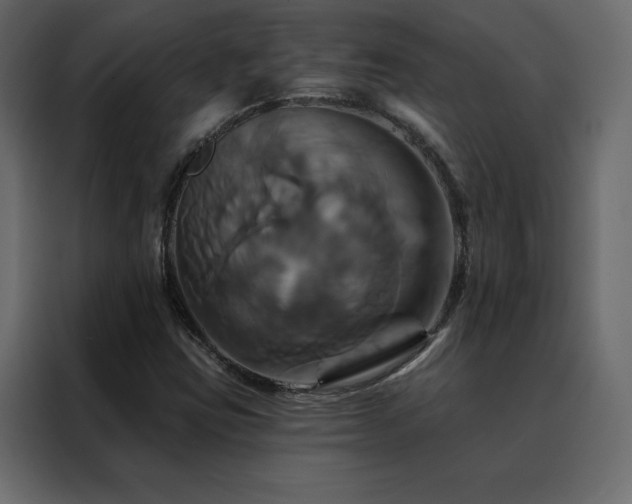 X0000088471403200705221353