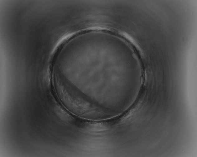 X0000088471408200705221353