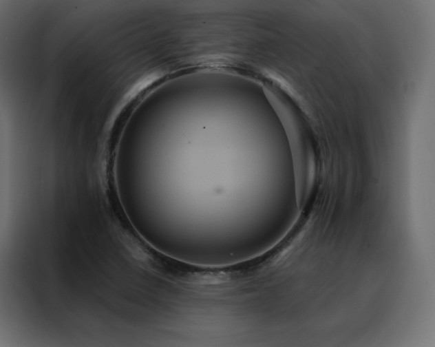 X0000088471410200705221353