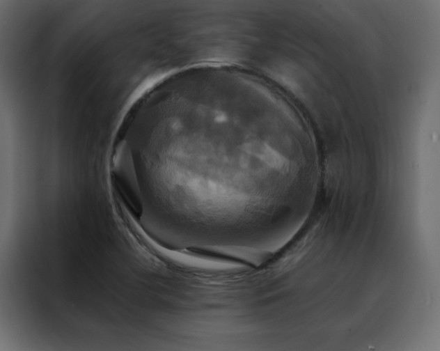 X0000088471412200705221353