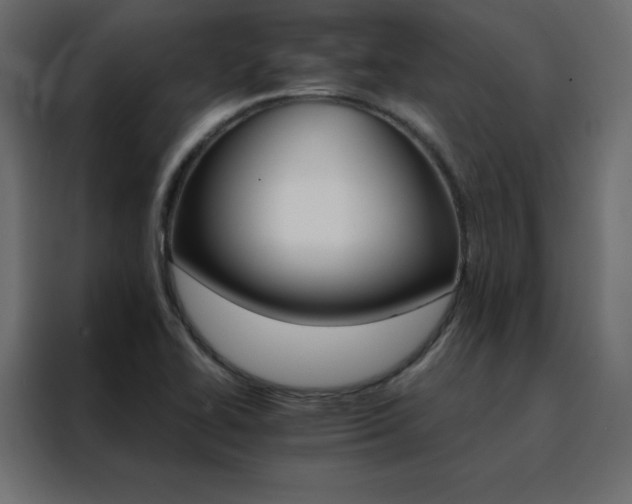 X0000088471414200705221353