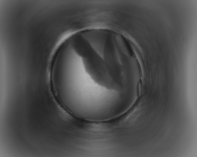 X0000088471416200705221353