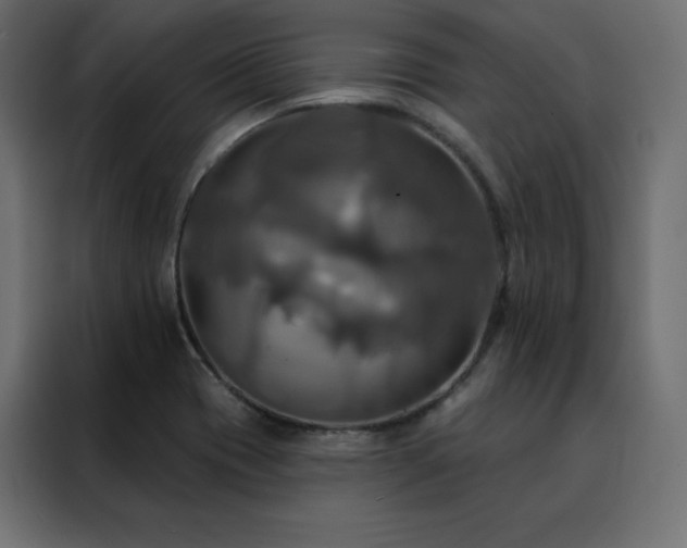 X0000088471417200705221353