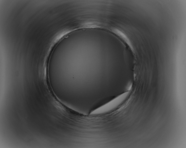 X0000088471419200705221353