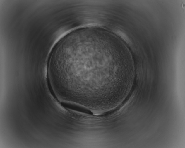X0000088471420200705221353