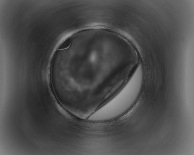 X0000088471421200705221354