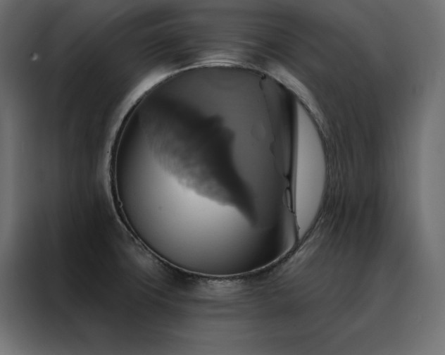 X0000088471427200705221354