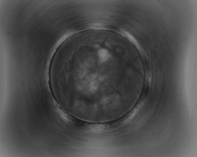 X0000088471435200705221354