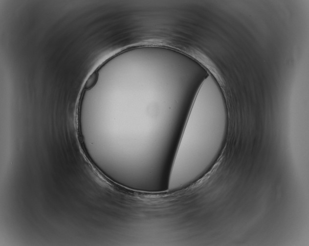 X0000088471436200705221354