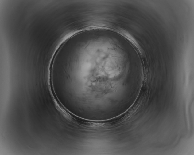 X0000088471439200705221354