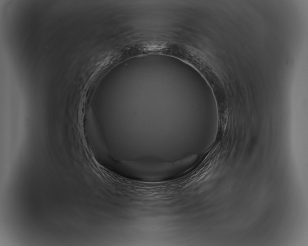 X0000088471441200705221353