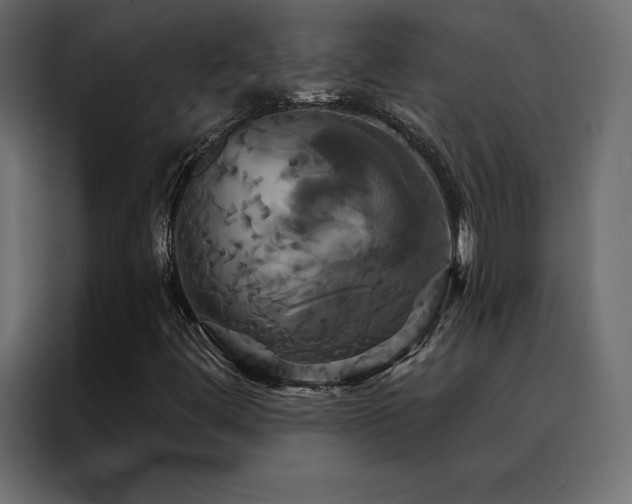 X0000088471444200705221353