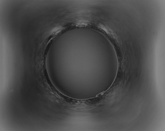 X0000088471445200705221353