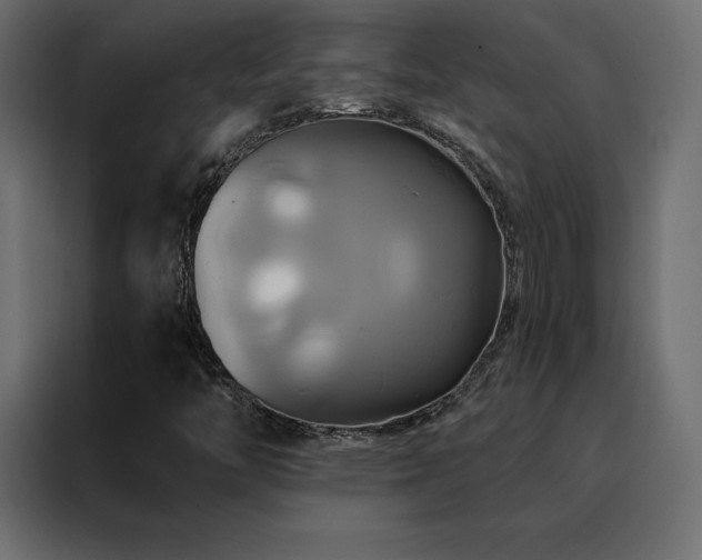 X0000088471446200705221353