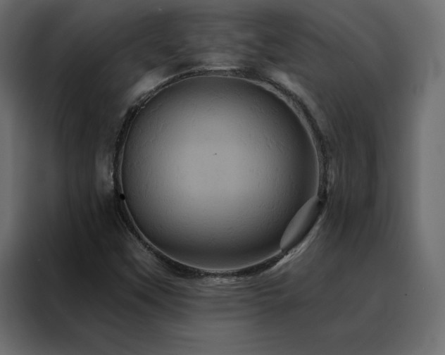 X0000088471451200705221353