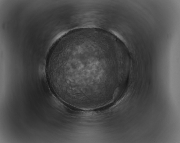 X0000088471452200705221353
