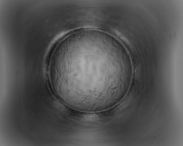 X0000088471454200705221353