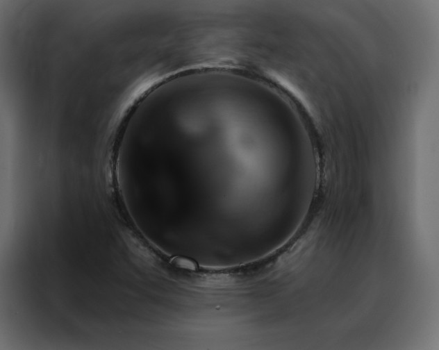 X0000088471455200705221353