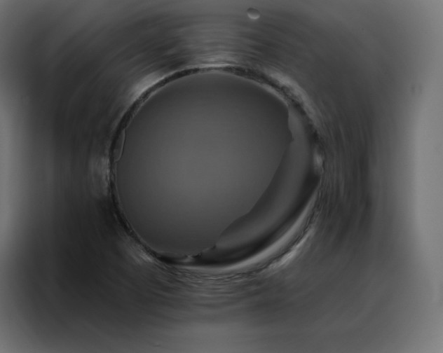 X0000088471457200705221353