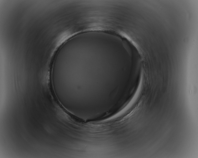 X0000088471459200705221353