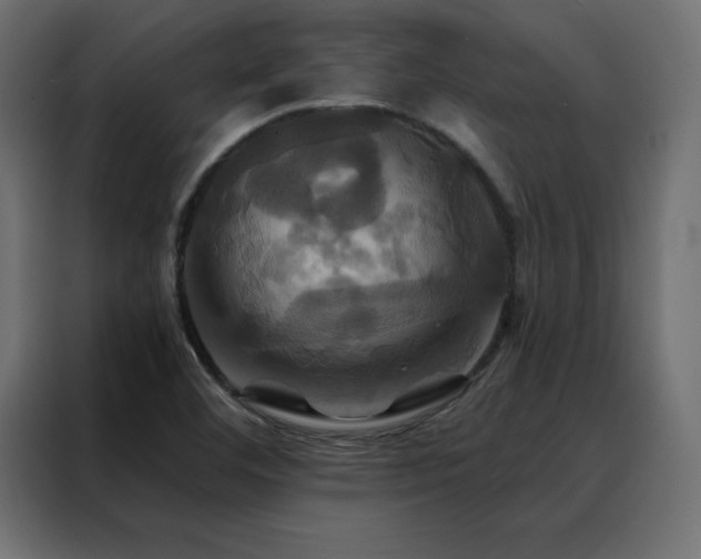 X0000088471460200705221353