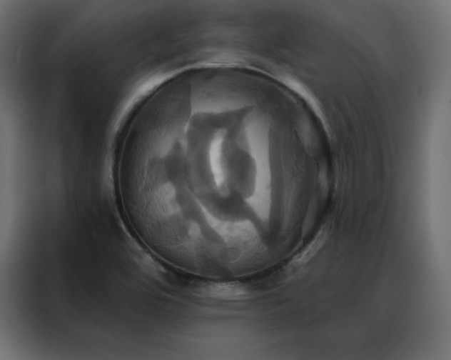 X0000088471464200705221353