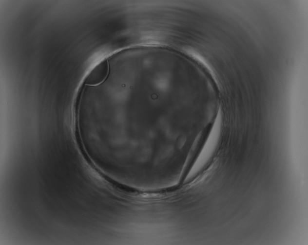 X0000088471467200705221353