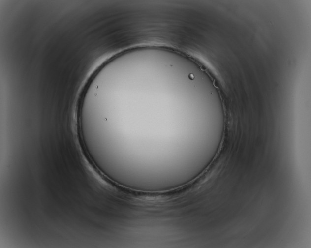X0000088471468200705221353