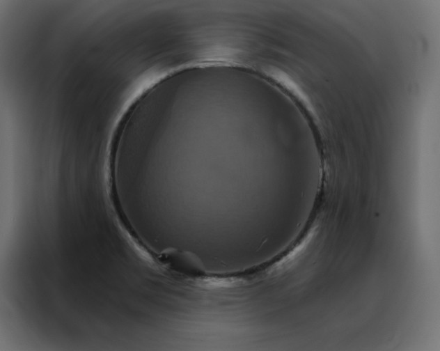 X0000088471469200705221353
