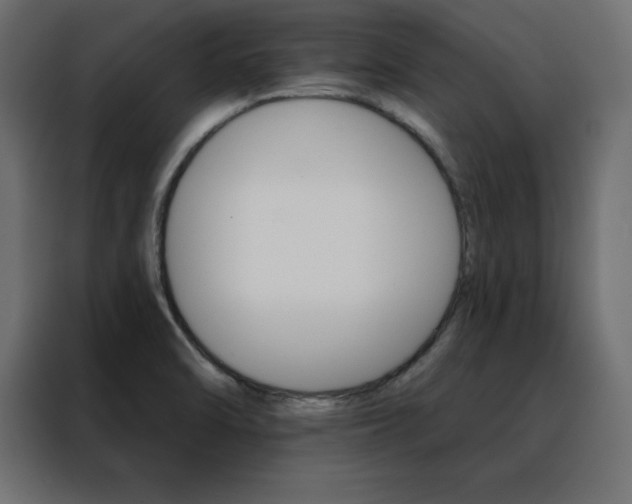 X0000088471470200705221353