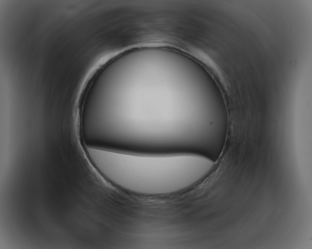 X0000088471472200705221353
