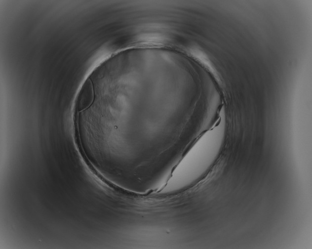 X0000088471475200705221353