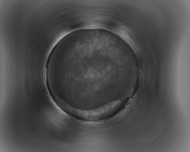X0000088471476200705221353