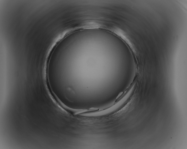X0000088471477200705221353