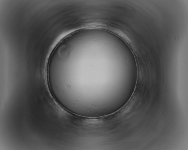 X0000088471478200705221353