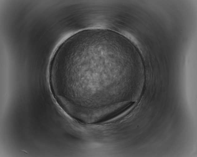 X0000088471480200705221353