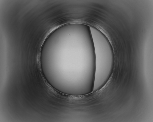 X0000088471481200705221353